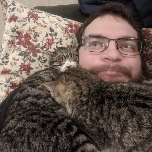 Feline Fine All The Time