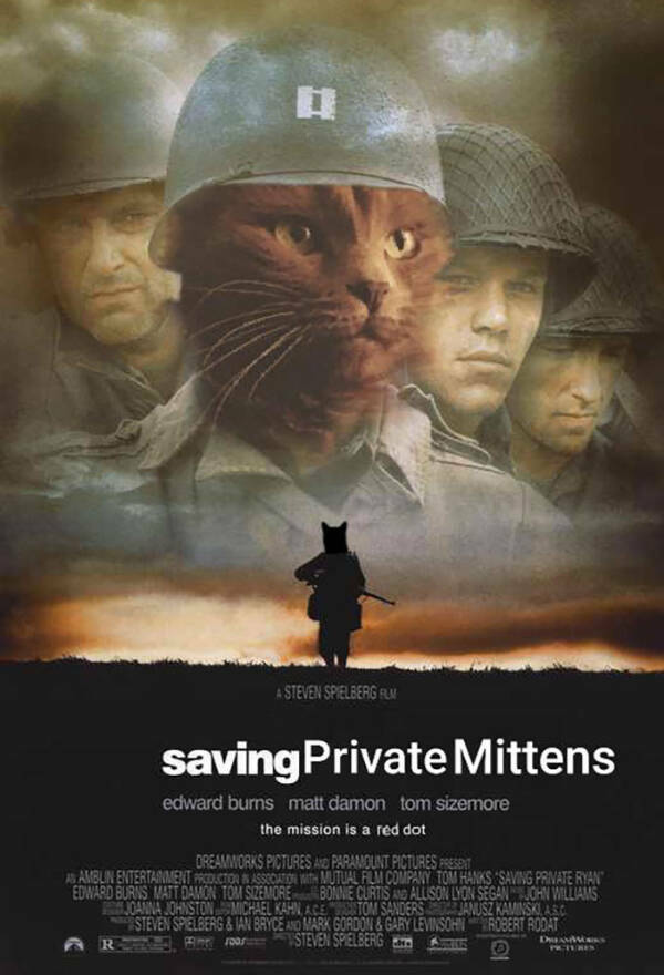 Feline Fine All The Time