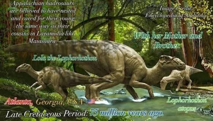 Funny Picdump