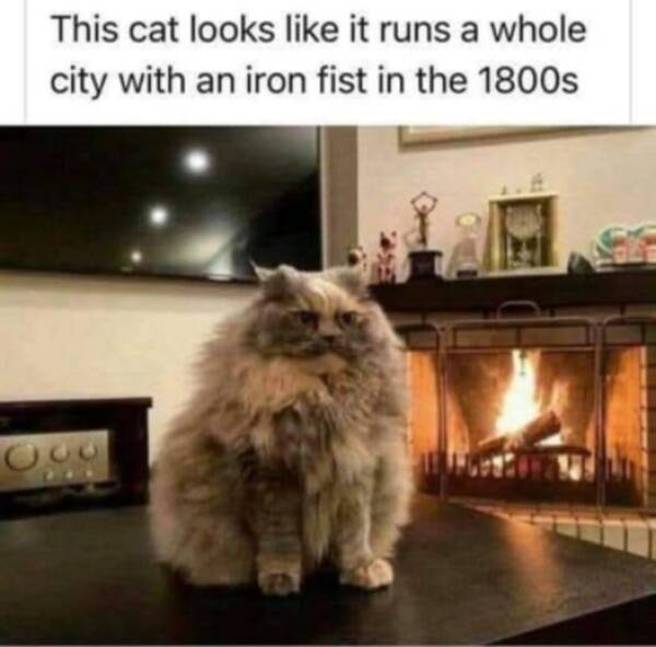 Funny Picdump