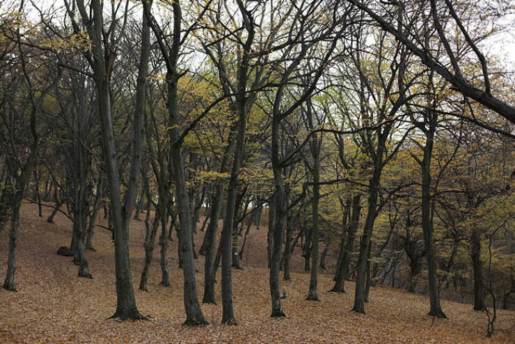 Real-Life Locations So Creepy, Even Ghosts Would Pass