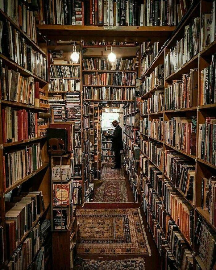 The World’s Most Magical Libraries And Bookstores