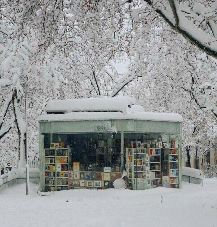 The World’s Most Magical Libraries And Bookstores