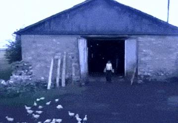 Daily Gifdump Daily Gifdump