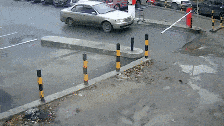 Daily Gifdump Daily Gifdump