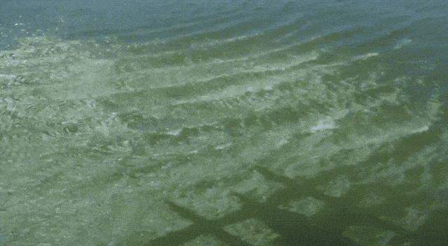 Daily Gifdump Daily Gifdump