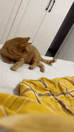 Daily Gifdump Daily Gifdump