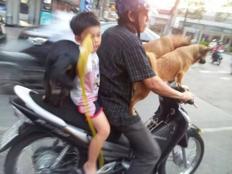 Daily Picdump Daily Picdump