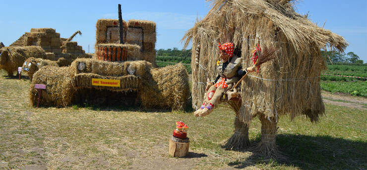 Daily Picdump Daily Picdump