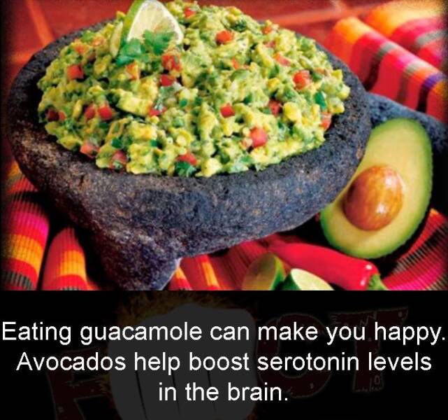 Daily Picdump Daily Picdump