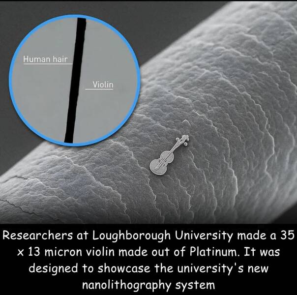 Daily Picdump Daily Picdump