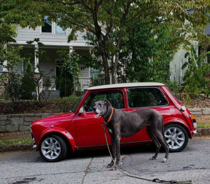 Daily Picdump Daily Picdump