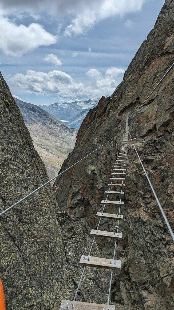 Daily Picdump Daily Picdump