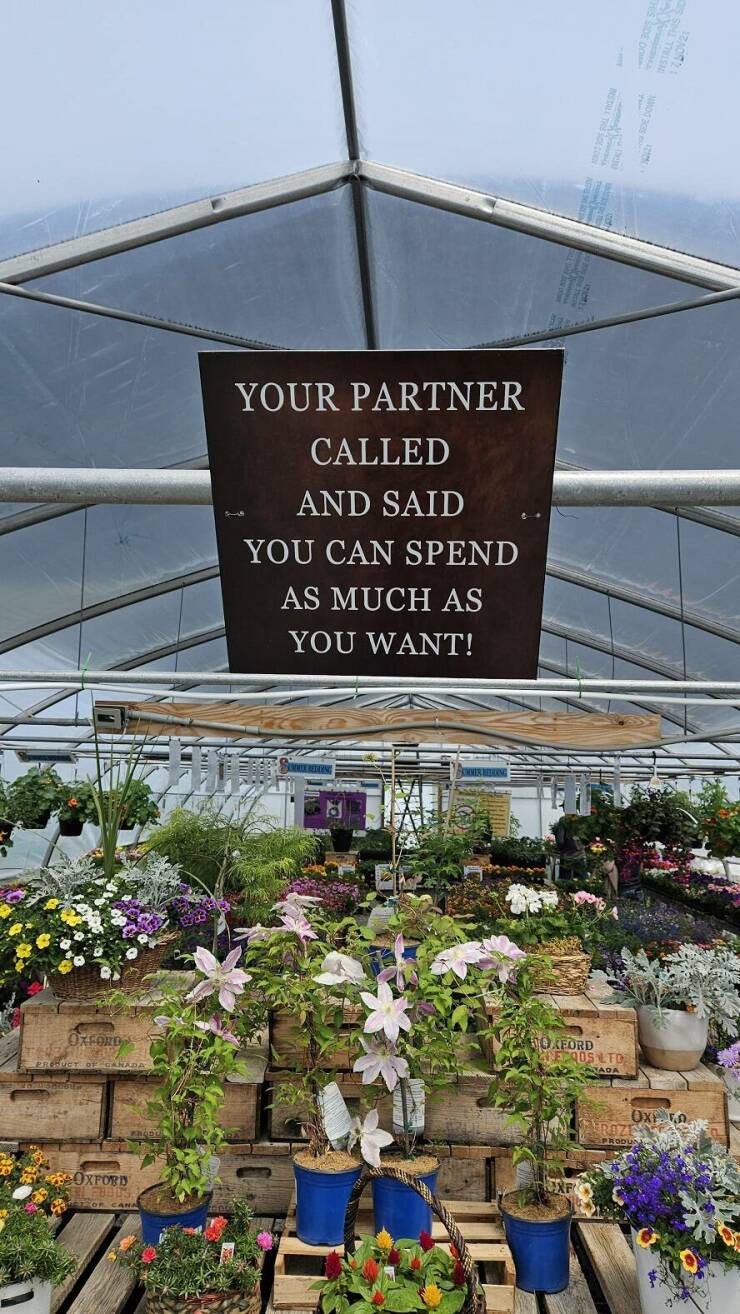 Daily Picdump Daily Picdump