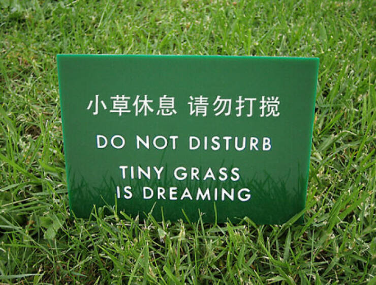 Lost In Translation… And In Laughter