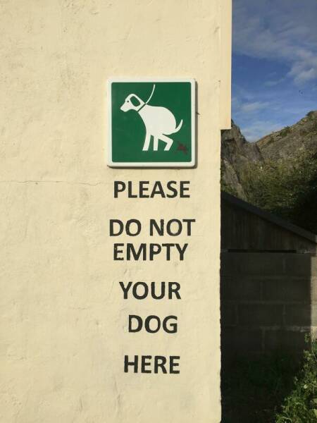 Lost In Translation… And In Laughter