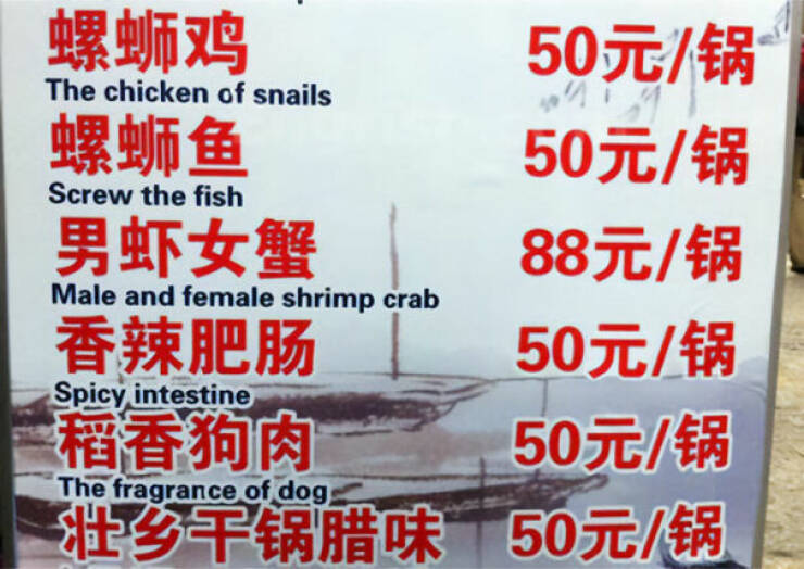 Lost In Translation… And In Laughter
