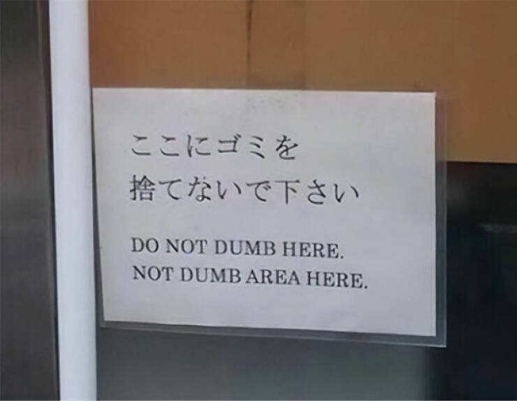 Lost In Translation… And In Laughter