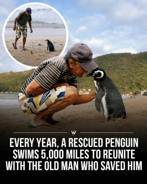 Incredibly Fascinating Stories And Facts Revealing A New Perspective On Reality