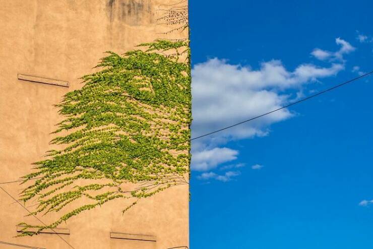 Perfectly Timed Shots Of Daily Life That Will Surprise You