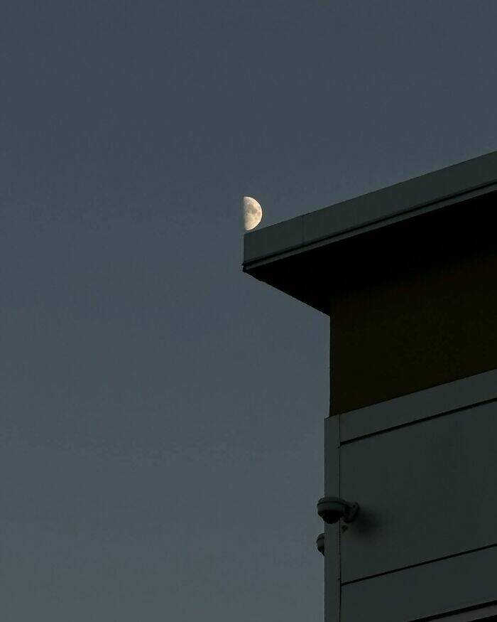 Perfectly Timed Shots Of Daily Life That Will Surprise You