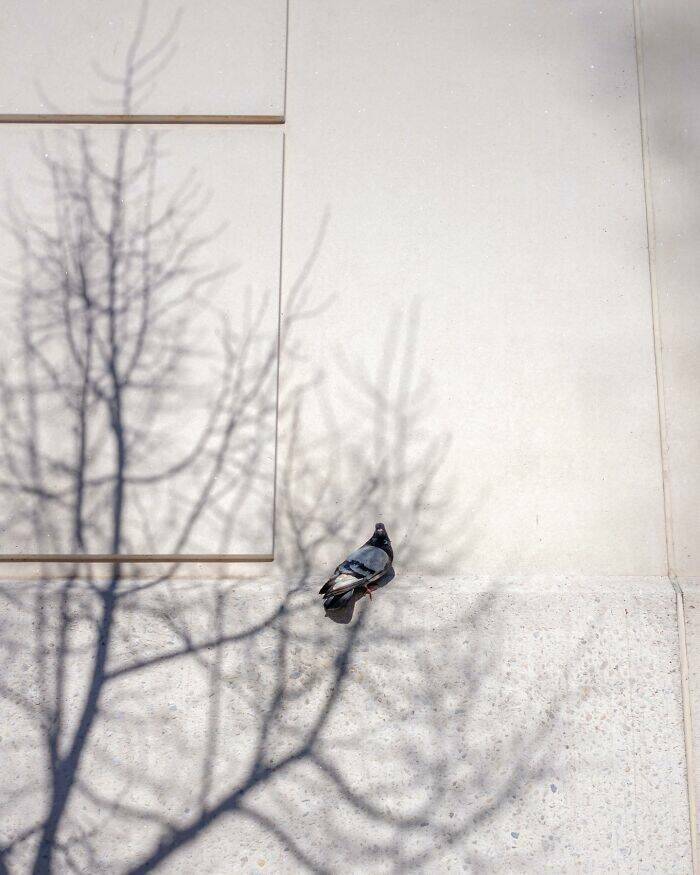 Perfectly Timed Shots Of Daily Life That Will Surprise You