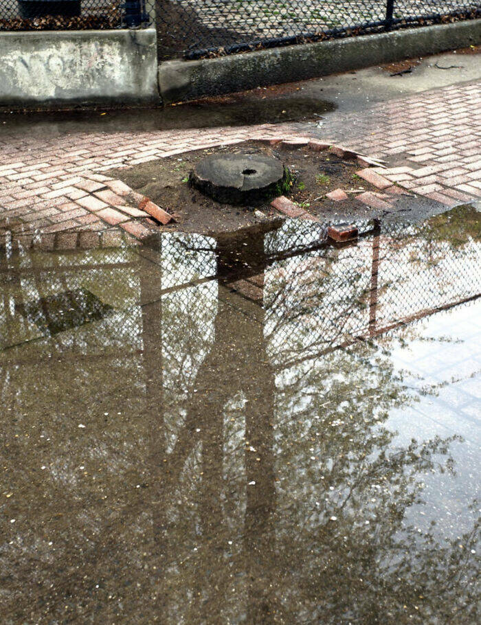 Perfectly Timed Shots Of Daily Life That Will Surprise You