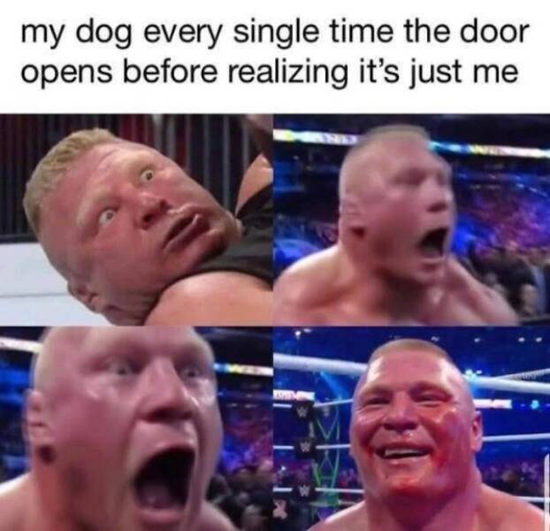 Seriously Funny: The Whole Truth With A Twist