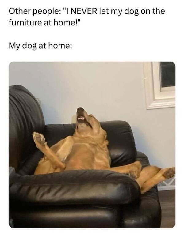 Seriously Funny: The Whole Truth With A Twist