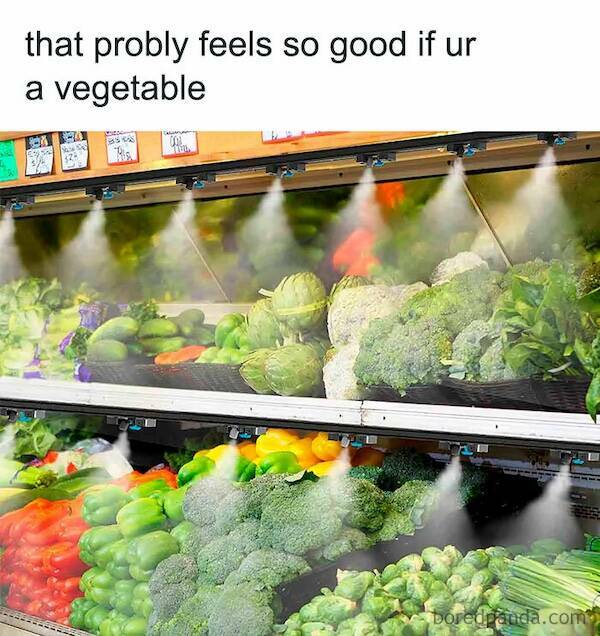 Seriously Funny: The Whole Truth With A Twist