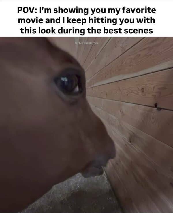 Seriously Funny: The Whole Truth With A Twist