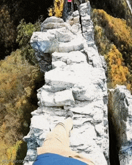 Daily Gifdump Daily Gifdump