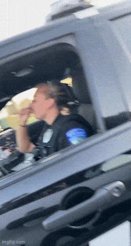 Daily Gifdump Daily Gifdump