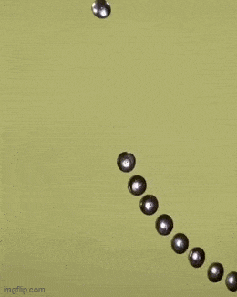 Daily Gifdump Daily Gifdump