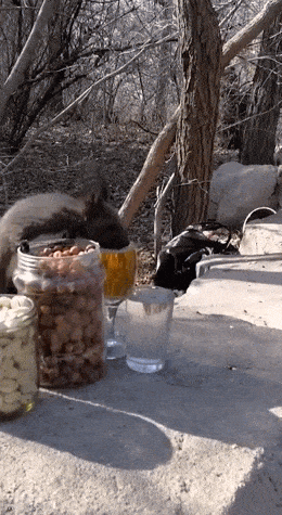 Daily Gifdump Daily Gifdump