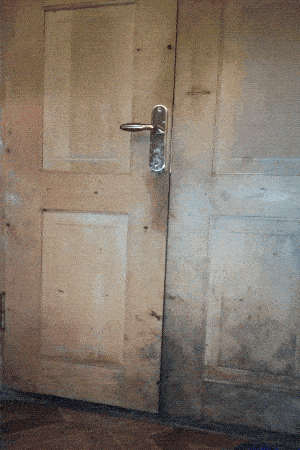 Daily Gifdump Daily Gifdump