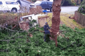 GIFs Fire Back At Fails