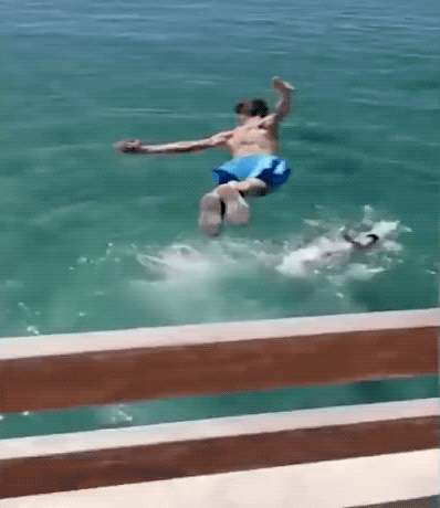 GIFs Fire Back At Fails