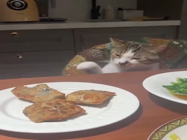 Give Me That Delicious Thing Over There.