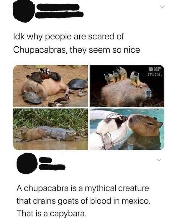 Apostrophe Catastrophes And Other Language Crimes