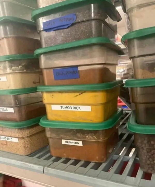 Apostrophe Catastrophes And Other Language Crimes