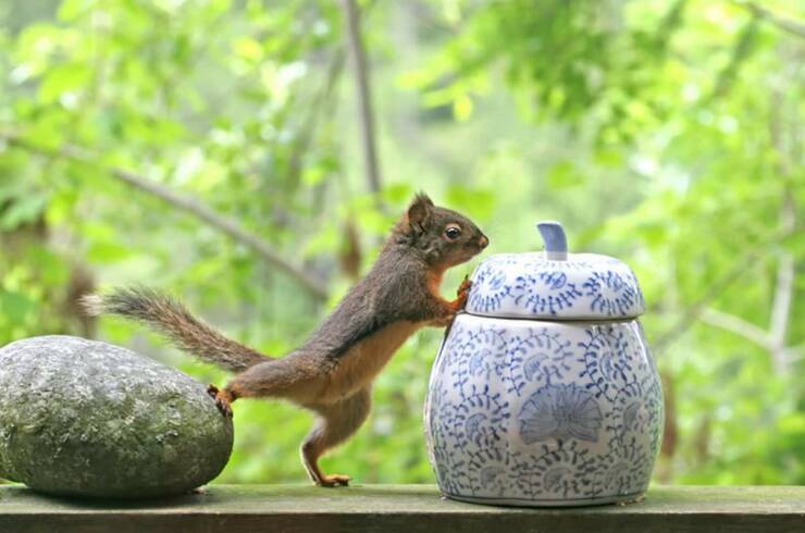 Daily Picdump Daily Picdump