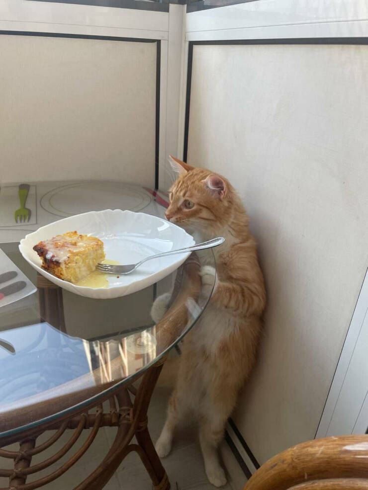 Daily Picdump Daily Picdump