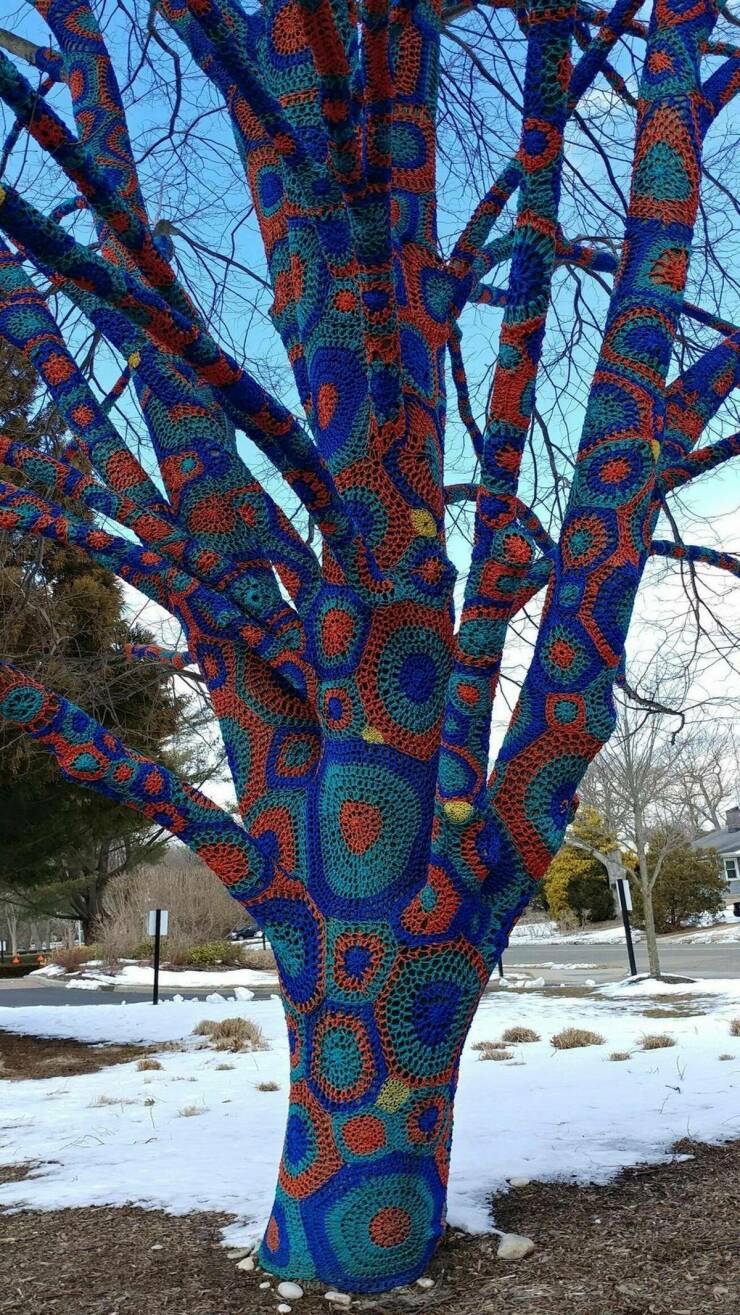 Daily Picdump Daily Picdump