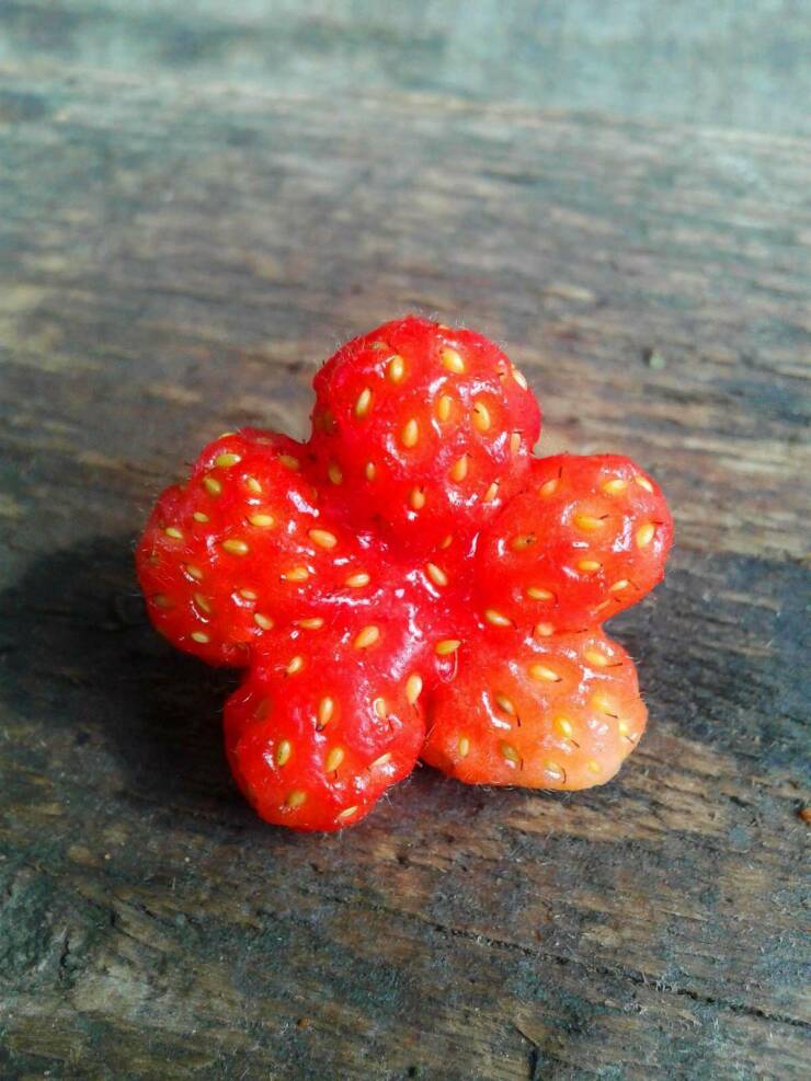 Daily Picdump Daily Picdump