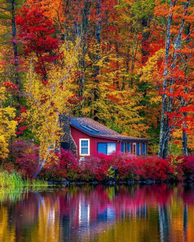 Daily Picdump Daily Picdump