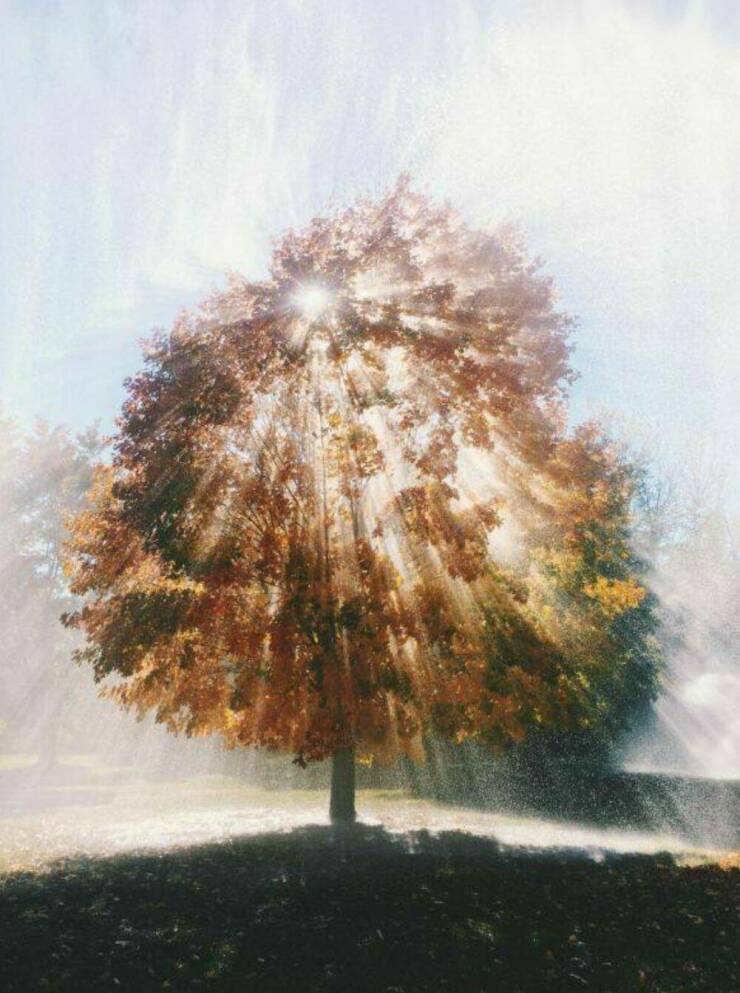 Daily Picdump Daily Picdump