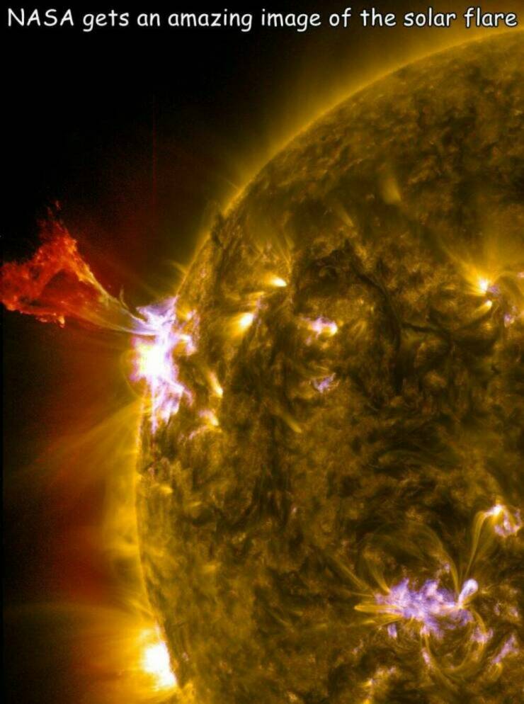 Daily Picdump Daily Picdump