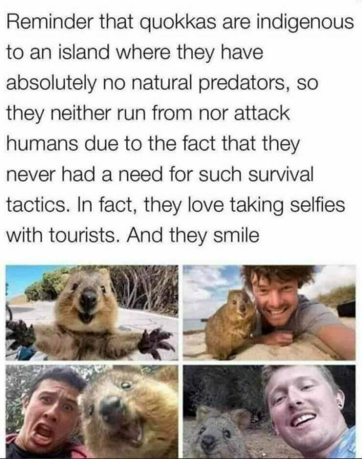 Daily Picdump Daily Picdump