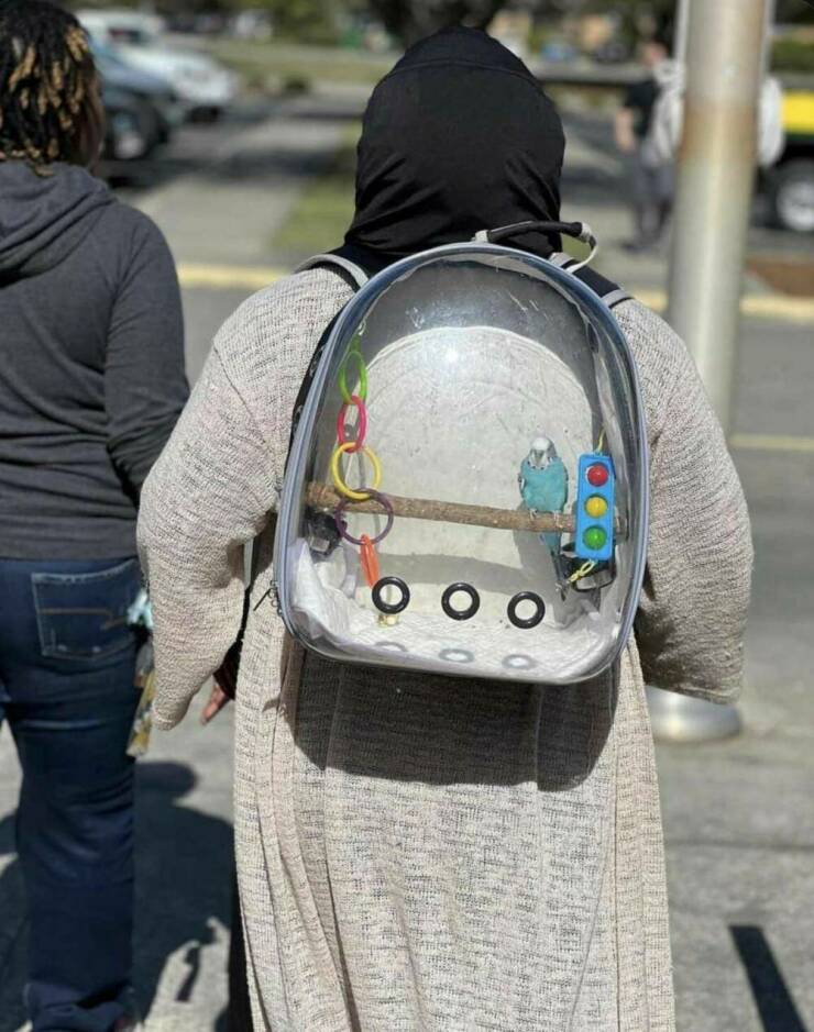 Daily Picdump Daily Picdump